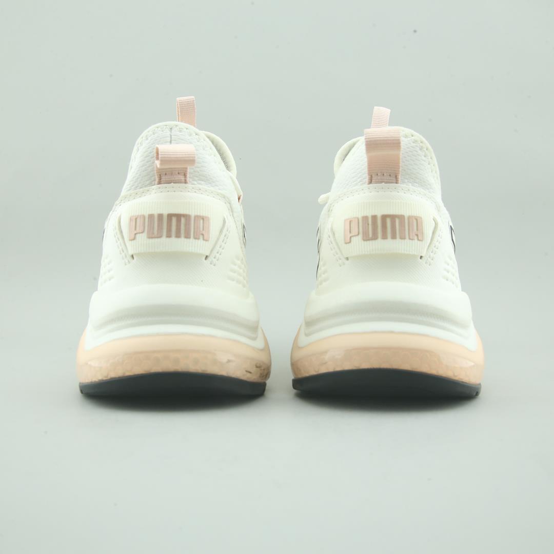 PUMA AMPLIFIER