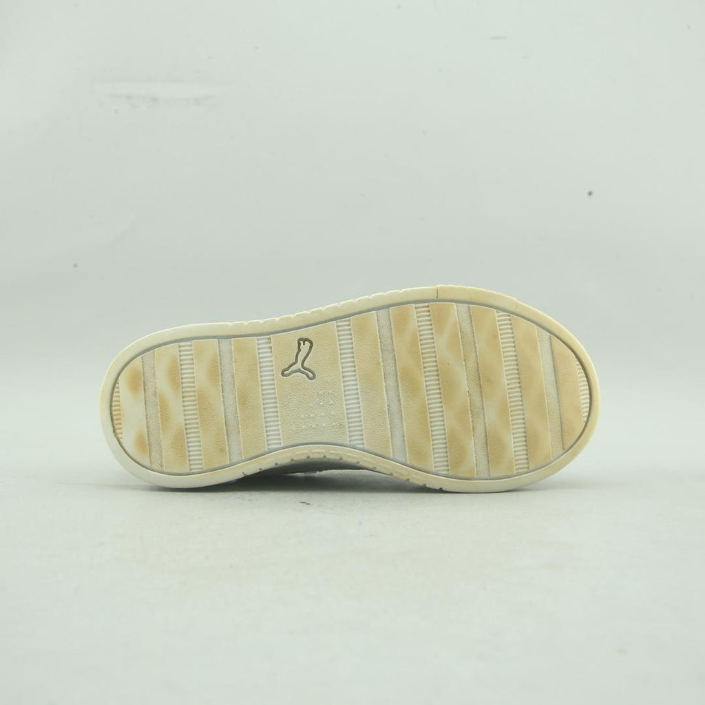 PUMA SUMMITS